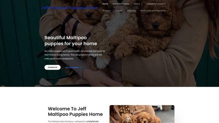 Jeffmaltipoopuppieshome.store - Maltipoo Puppy Scam Review