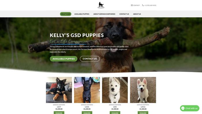 Kellysgsdpuppies.com - Germanshepherd Puppy Scam Review