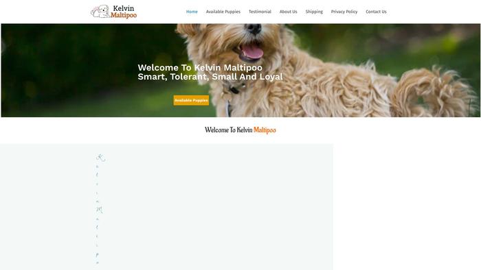 Kelvinmaltipoo.com - Maltipoo Puppy Scam Review