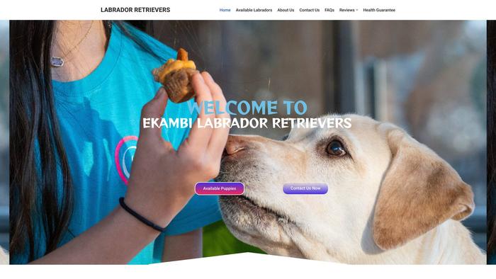 Labrador-retriverpups.com - Labrador Puppy Scam Review