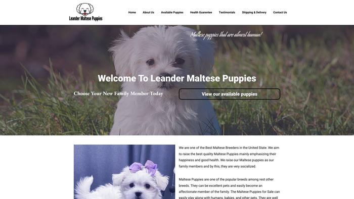 Leandermaltesepuppies.com - Maltese Puppy Scam Review