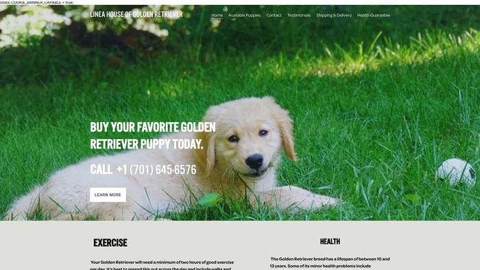 Lineahouseofgoldenretrievers.com - Golden Retriever Puppy Scam Review