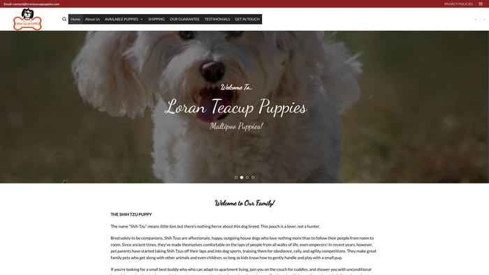 Loranteacuppuppies.com - Yorkshire Terrier Puppy Scam Review