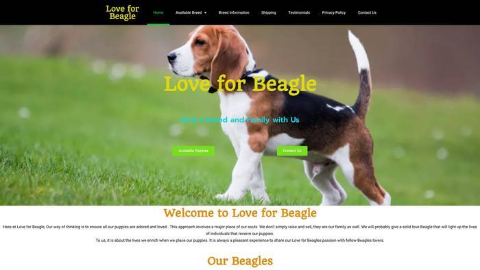 Love4beagle.com - Beagle Puppy Scam Review