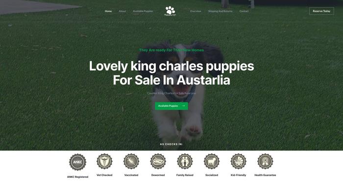 Lovelykingcharlespups.com - Cavalier King Charles Spaniel Puppy Scam Review