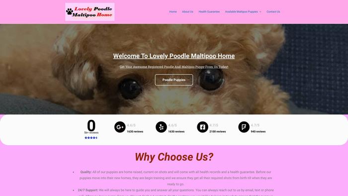 Lovelypoodlemaltipoohome.com - Maltipoo Puppy Scam Review