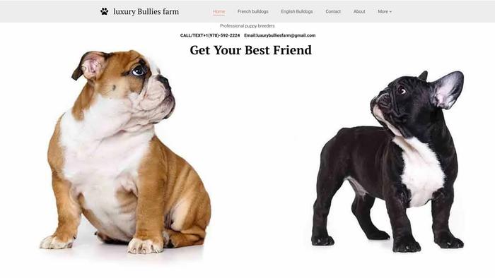 Luxurybulliesfarm.com - French Bulldog Puppy Scam Review