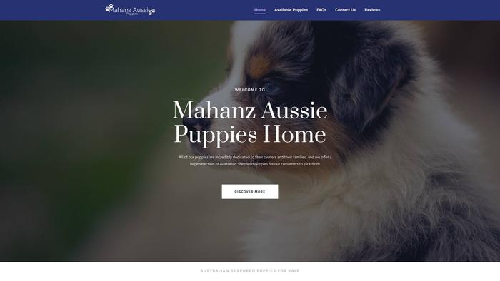 Mahanzaussiepuppy.com - Australian Shepherd Puppy Scam Review