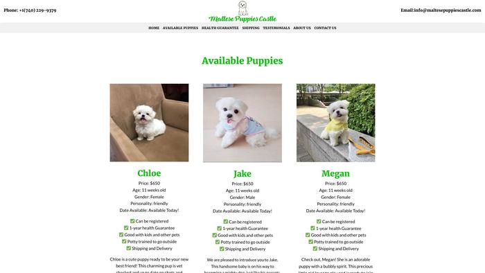 Maltesepuppiescastle.com - Maltese Puppy Scam Review