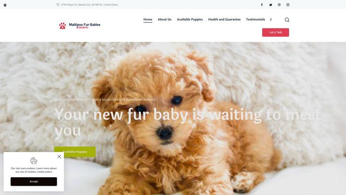 Maltipoo-furbabies.com - Maltipoo Puppy Scam Review