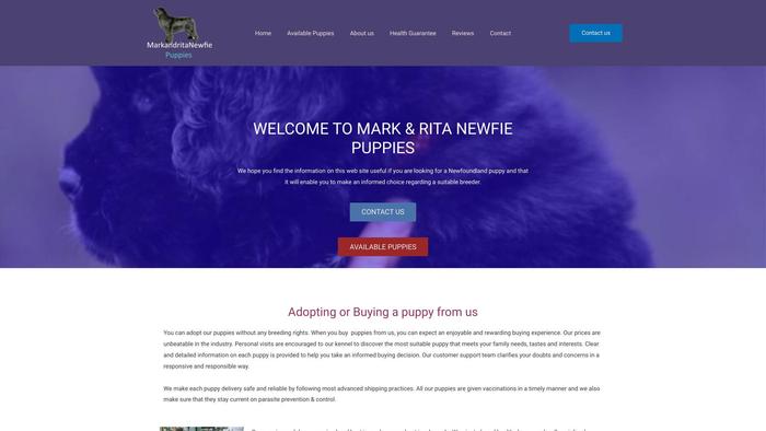 Markandritanewfiepuppies.com - Saint Bernard Puppy Scam Review