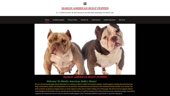 Marlinamericanbully.store - Pit Bull Puppy Scam Review