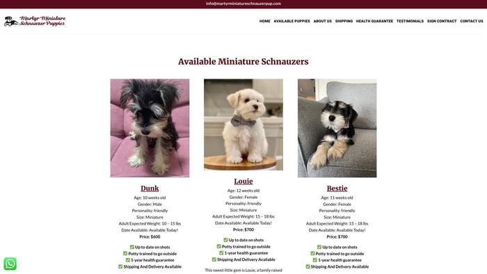 Martyrminiatureschnauzerpup.com - Schnauzer Puppy Scam Review