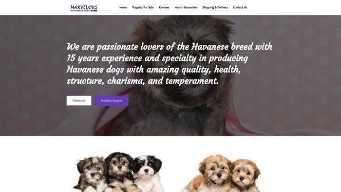 Marveloushavanesepupshome.com - Havanese Puppy Scam Review