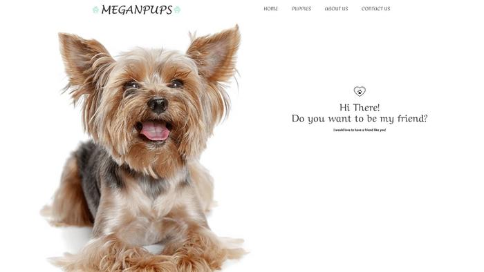 Meganyorkiepuppies.com - Yorkshire Terrier Puppy Scam Review