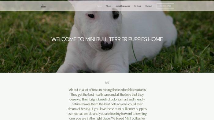 Mibullterrerpuppies.com - Pit Bull Puppy Scam Review