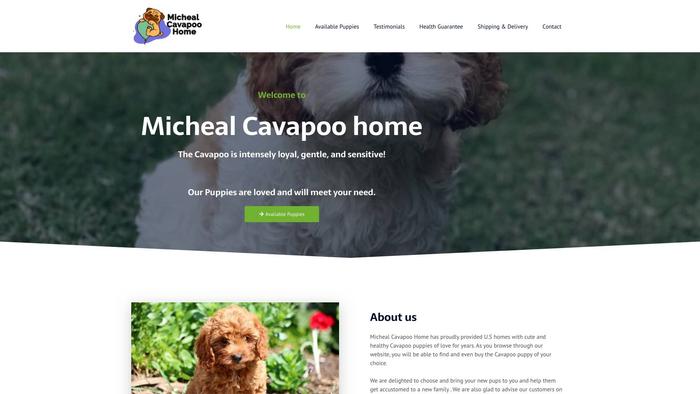 Michealcavapoohome.com - Cavapoo Puppy Scam Review