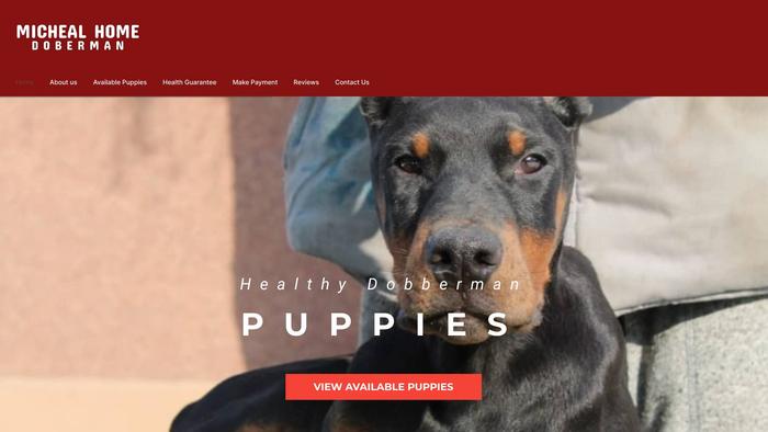 Michealhomedoberman.com - Doberman Pinscher Puppy Scam Review