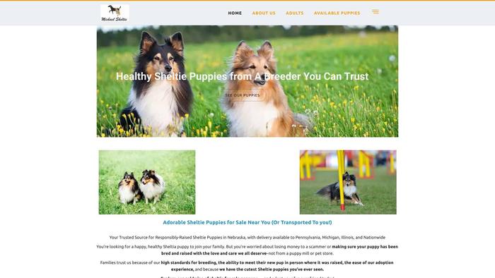 Michealsheltie.us - Sheltie Puppy Scam Review