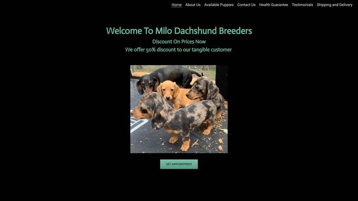 Milodachshundbreeders.com - Dachshund Puppy Scam Review