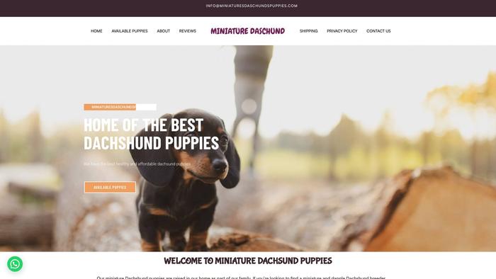 Miniaturesdaschundspuppies.com - Dachshund Puppy Scam Review