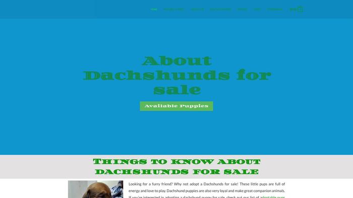 Minidachshundpuppiesforsale.com - Dachshund Puppy Scam Review