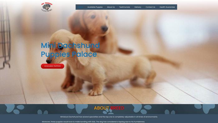 Minidachshundpuppiespalace.com - Dachshund Puppy Scam Review