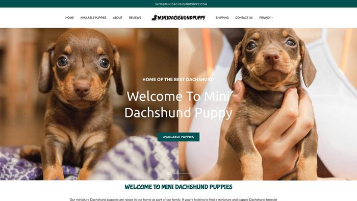 Minidachshundpuppy.com - Dachshund Puppy Scam Review