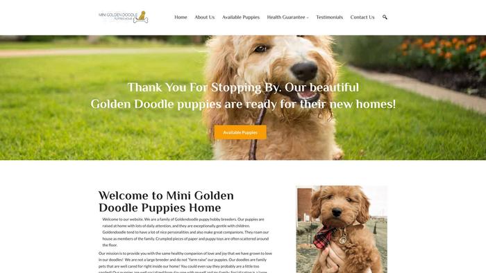 Minigoldendoodlepupshome.com - Golden Doodle Puppy Scam Review