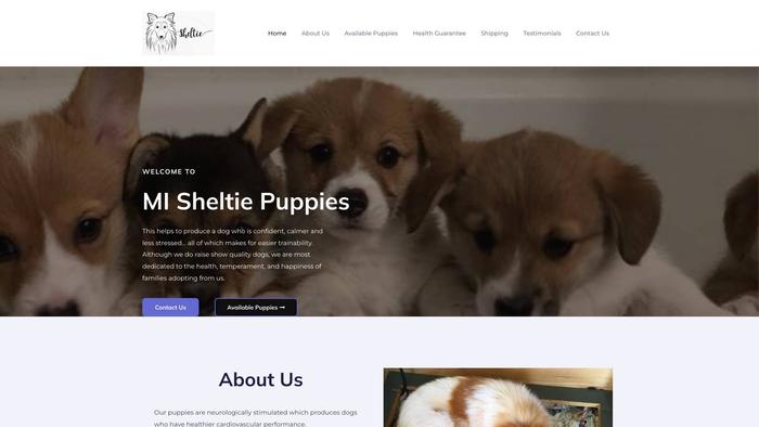 Misheltiepupes.com - Sheltie Puppy Scam Review