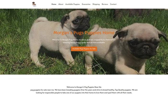 Morganspugfarm.com - Pug Puppy Scam Review