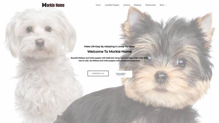 Morkiehome.com - Yorkshire Terrier Puppy Scam Review