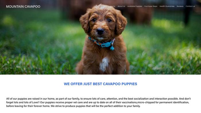 Mountaincavapoos.com - Cavapoo Puppy Scam Review