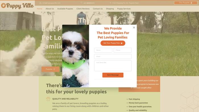 Mypuppyville.com - French Bulldog Puppy Scam Review