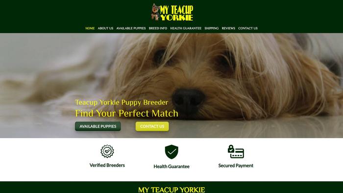 Myteacupyorkie.com - Yorkshire Terrier Puppy Scam Review