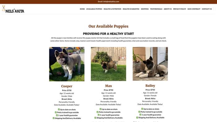 Nelsakita.com - Akita Puppy Scam Review