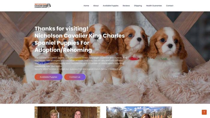 Nicholsoncavalierkingcharlespuppies.com - Cavalier King Charles Spaniel Puppy Scam Review