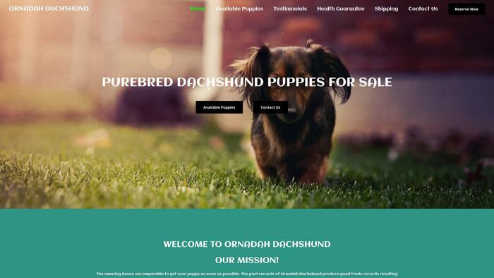 Ornadahdachshund.com - Dachshund Puppy Scam Review