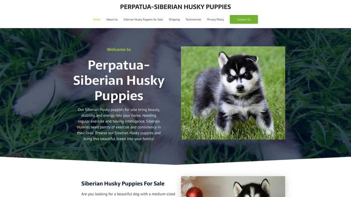 P-siberianhusky4home.com - Husky Puppy Scam Review