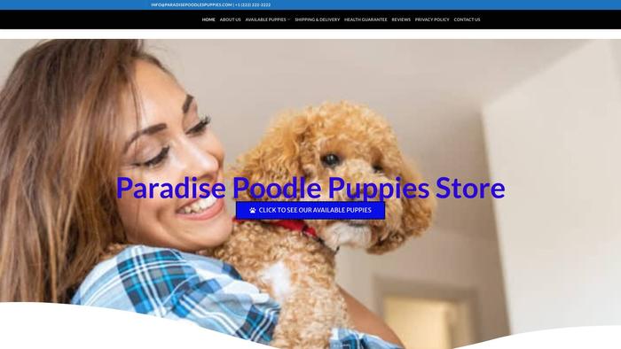 Paradisepoodlespuppies.com - Poodle Puppy Scam Review