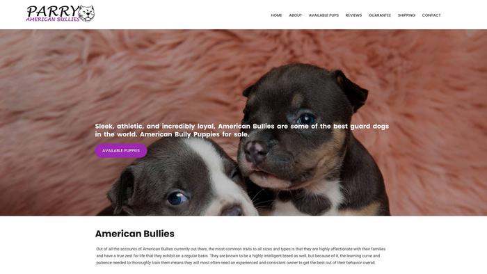 Parryamericanbullyhome.com - Boxer Puppy Scam Review