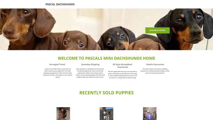 Pascaldachshundshome.com - Dachshund Puppy Scam Review