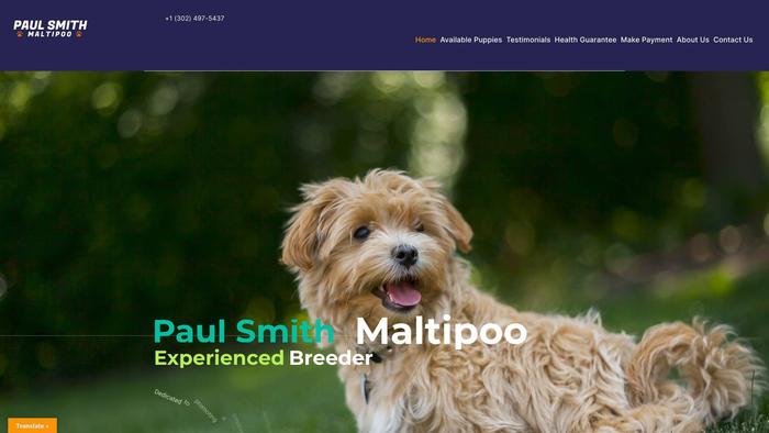 Paulsmithmaltipoo.com - Maltipoo Puppy Scam Review