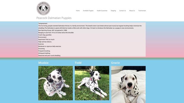 Peacockdalmatianpups.com - Labrador Puppy Scam Review