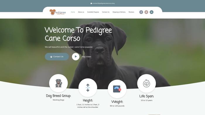 Pedigreecanecorso.dog - Cane Corso Puppy Scam Review