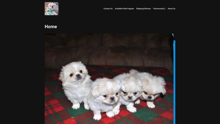 Pekingesedoghome.com - Pekingese Puppy Scam Review