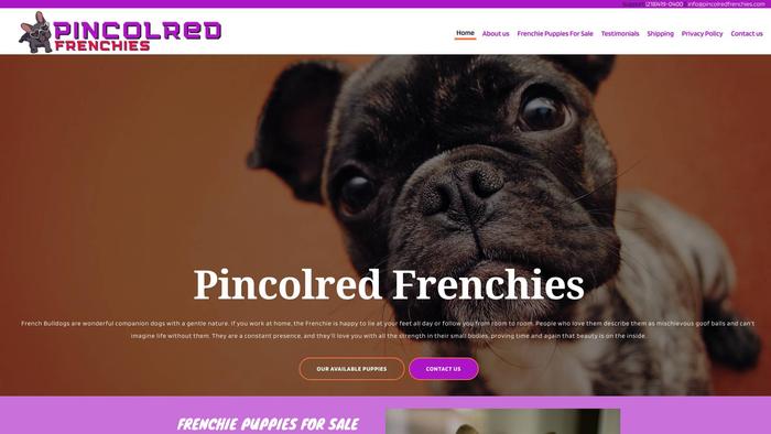 Pincolredfrenchies.com - French Bulldog Puppy Scam Review