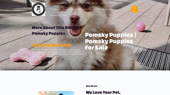 Pomskypuppiesclub.com - Pomeranian Puppy Scam Review