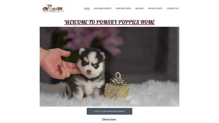 Pomskypuppsforsale.com - Pomeranian Puppy Scam Review