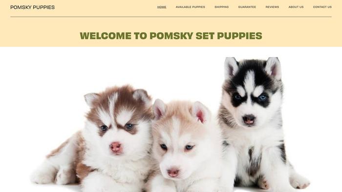 Pomskyset.com - Pomeranian Puppy Scam Review